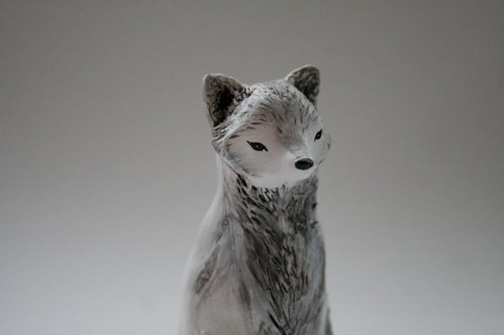 Arctic Fox