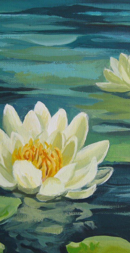 White lily by Elena Oleniuc