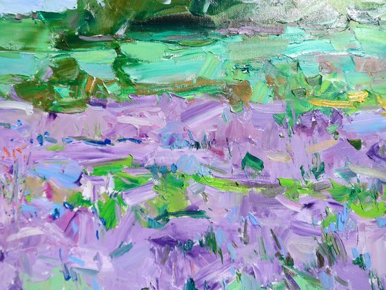 "Lavender Field "