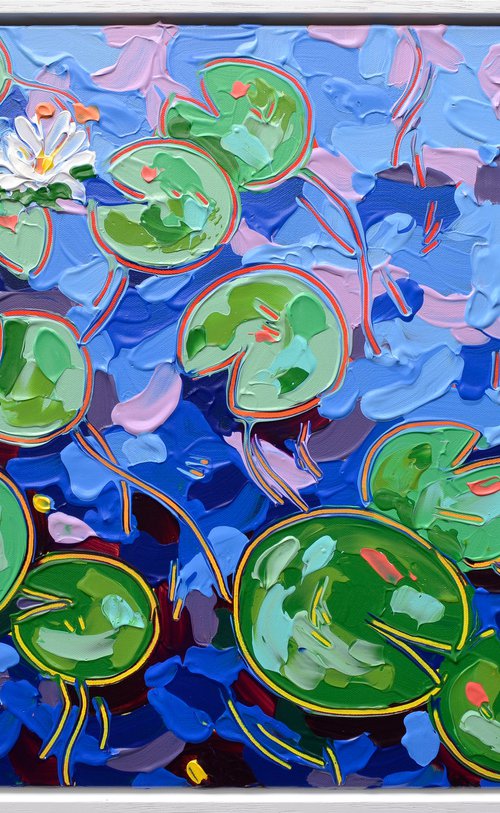 Tasman Lily Pond 28 by Joseph Villanueva