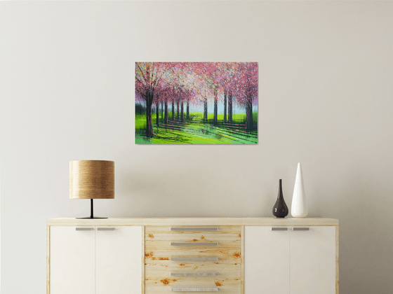 Colourful Spring Blossom