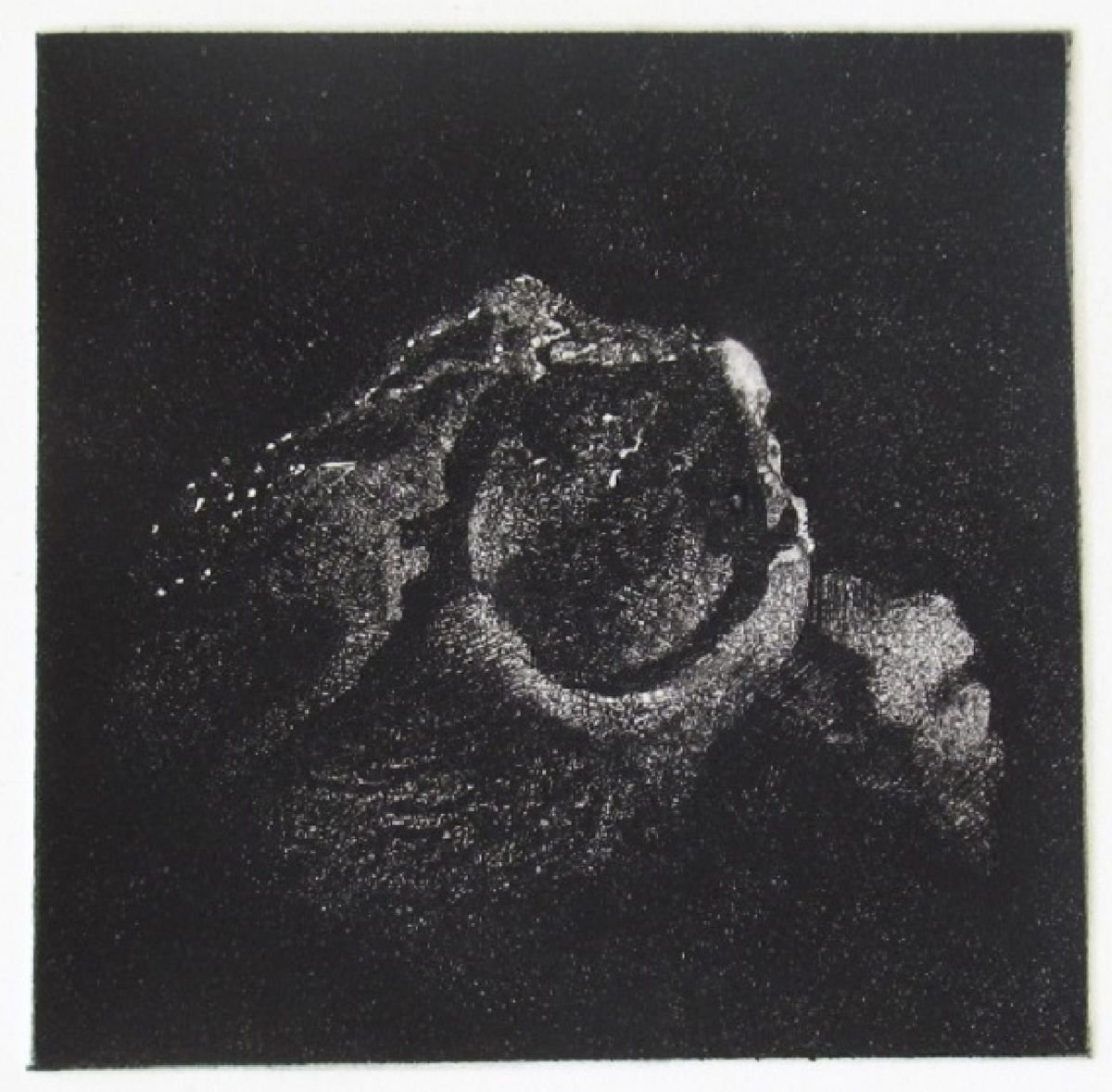 Surrealistic Botanical Etchings & Engravings By Kristina Vatova, 8 X 9", "Zoom Iii", Original Artwork