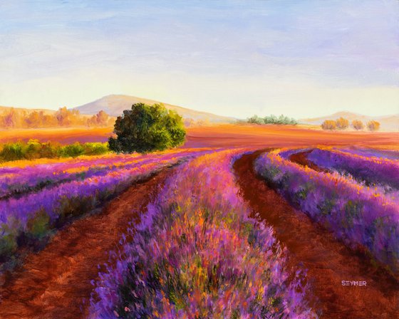 'A summer in Provence'