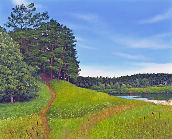 Footpath To The Forest