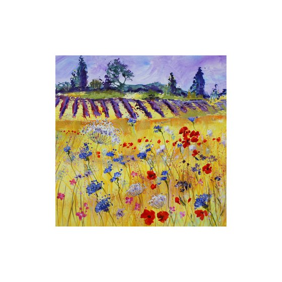 Poppies, Cornflowers, Wild Carrot and Lavender