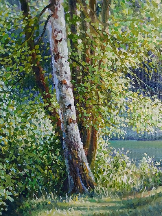 In the silence of the forest