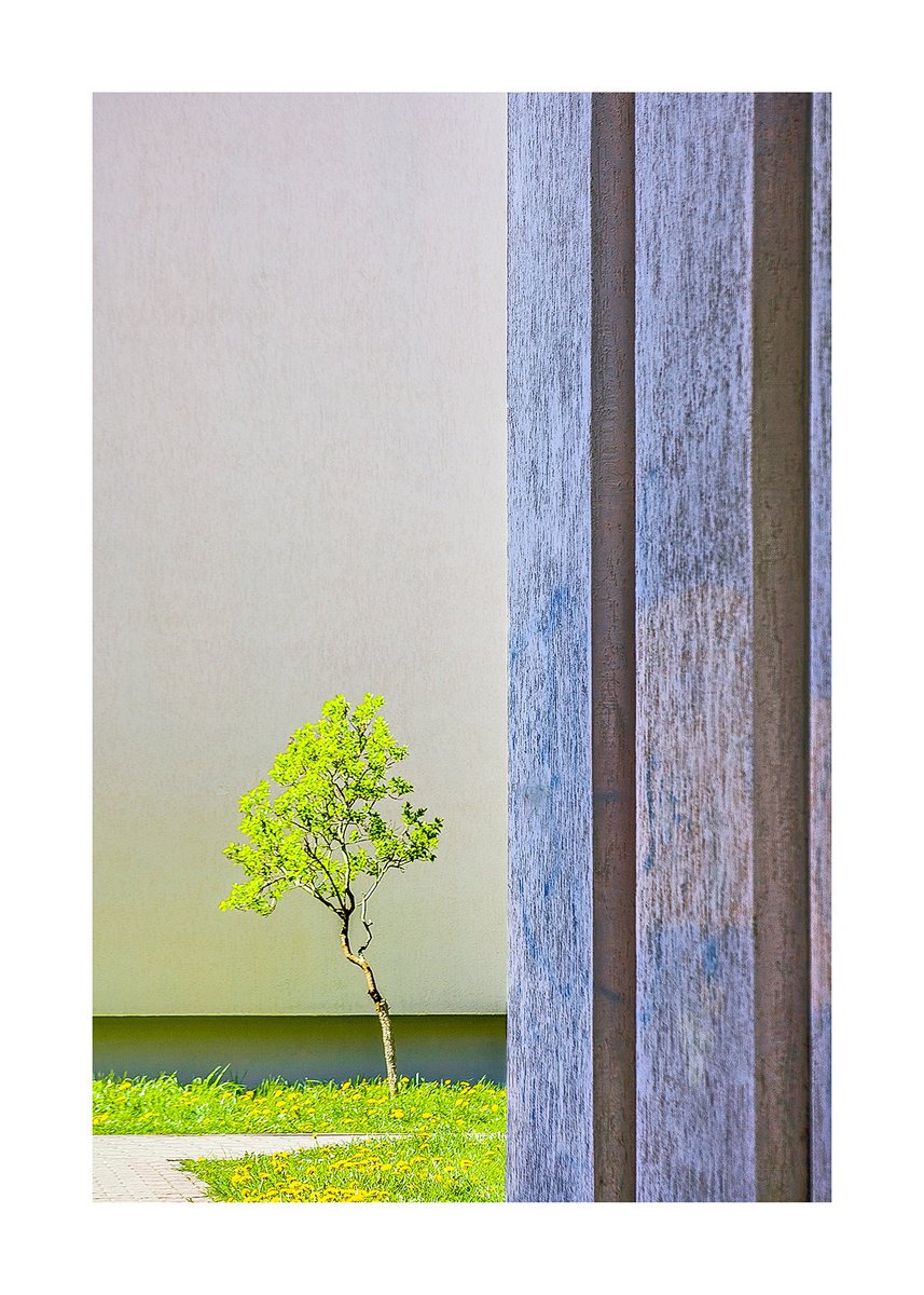 Geometric Cityscapes Photograph By Beata Podwysocka, 20 X 28, Once Upon A Tree 10, Original Artwork