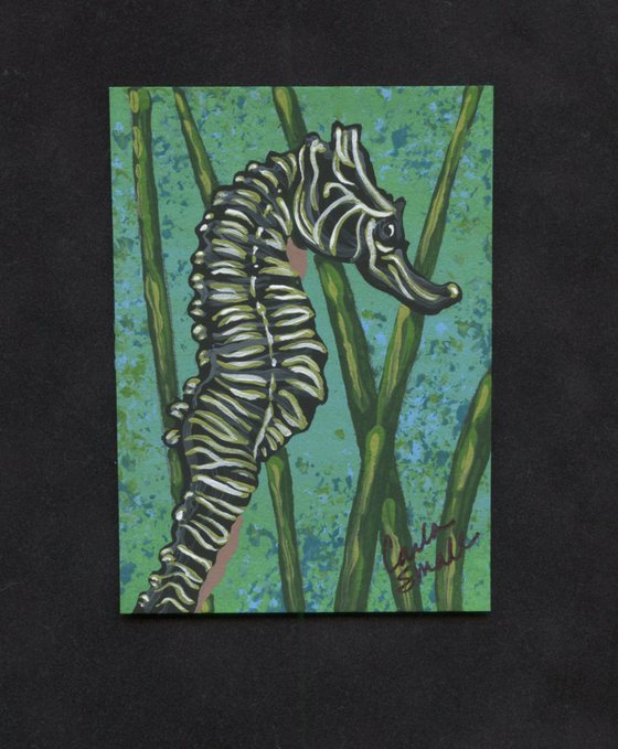 ACEO ATC Original Painting Seahorse Marine Wildlife Art-Carla Smale