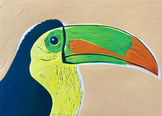 A Portrait of a Toucan