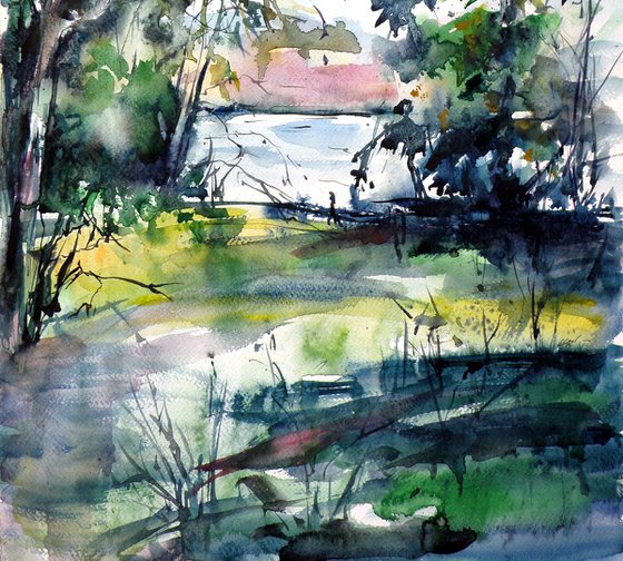 Forest with lake