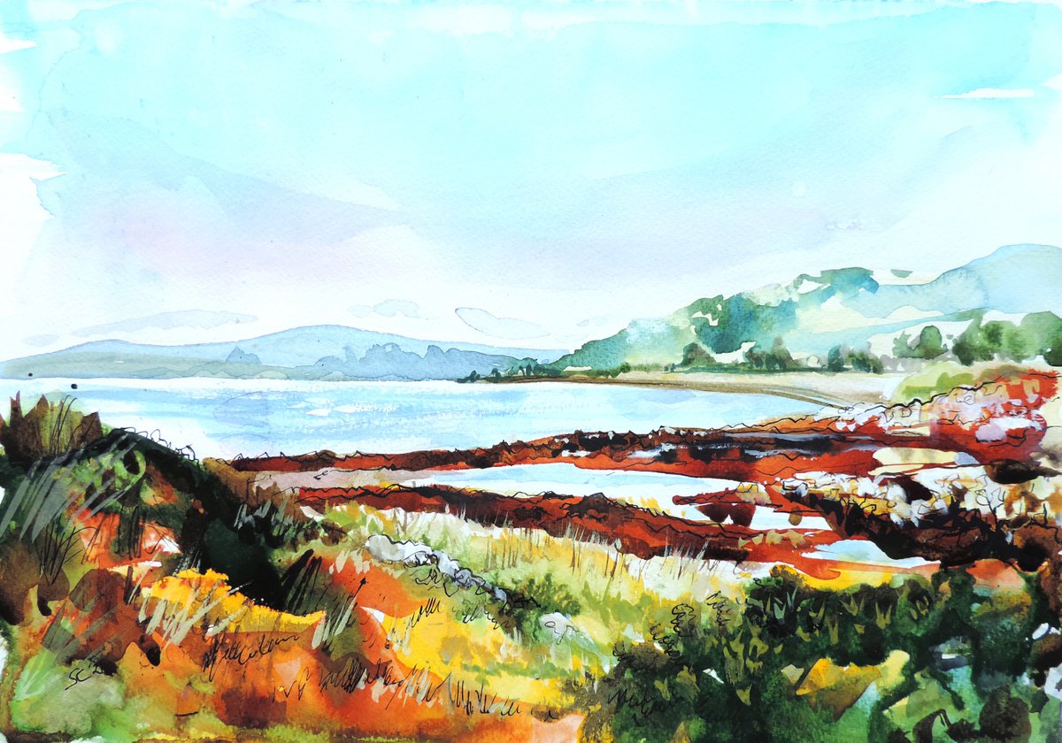 Colours of Mull, Summer by Sheila Chapman