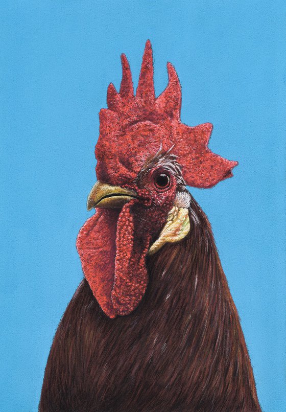 Original pastel drawing bird "Rooster"