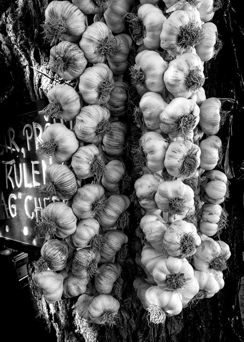 Garlic Ropes by Stephen Hodgetts Photography