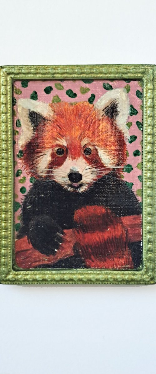 Red panda, part of framed animal miniature series "festum animalium" by Andromachi Giannopoulou