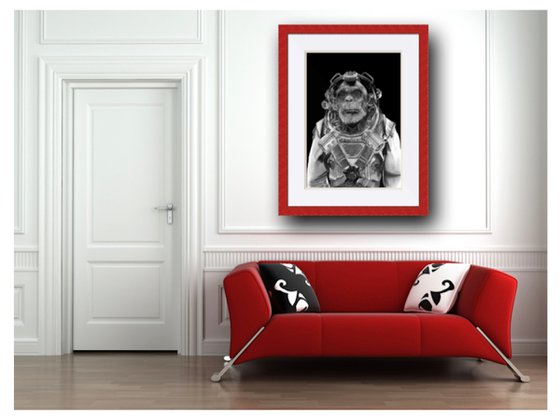 Space Chimp