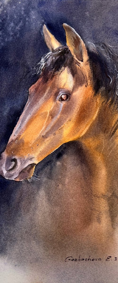 Horse portrait #2 by Eugenia Gorbacheva