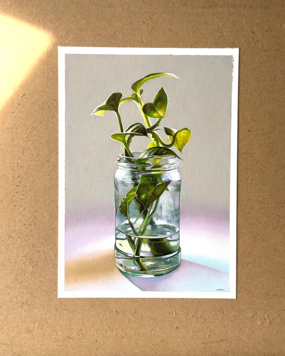 The Sprout in a clear glass