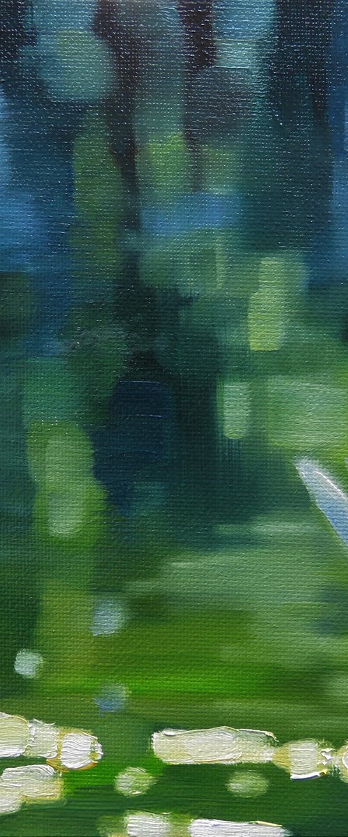 Dragonfly over dappled light by Kerry Lisa Davies
