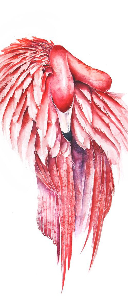 Pink Flamingo, wildlife, bird, watercolour painting by Karolina Kijak