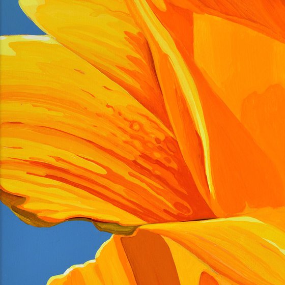 Californian Poppy and Pacific Wind #5