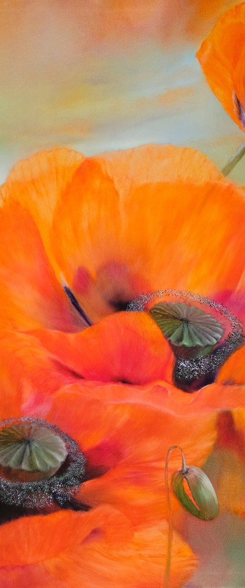 Sunny prospects - red poppies by Annette Schmucker