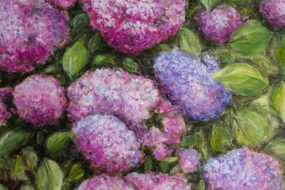 Pink Breath of Summer