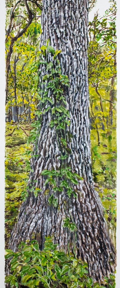 Oak Tree With Invasive Vine by Michael E. Voss
