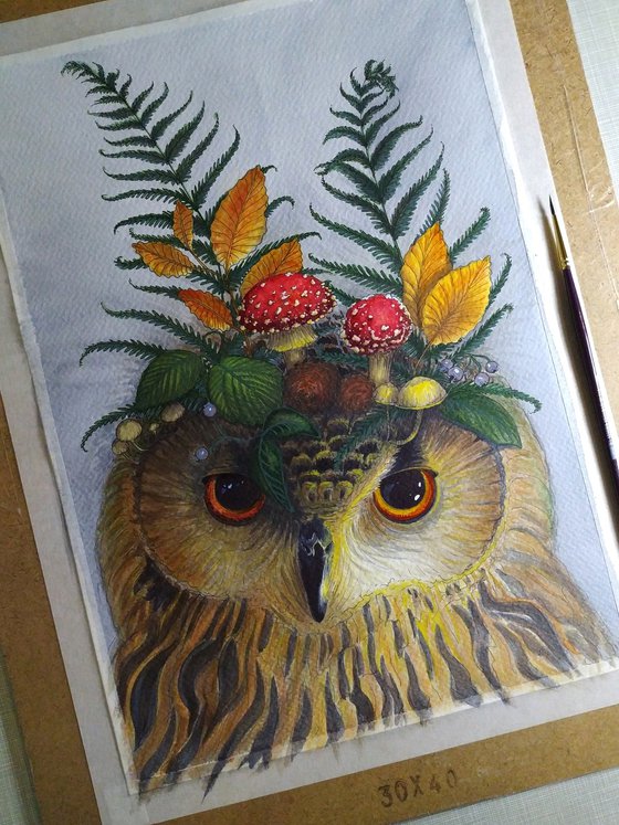 Forest owl