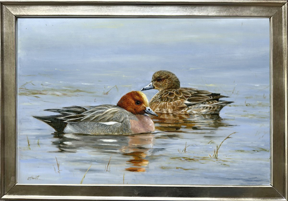 Photorealistic Animal Oil Painting By Una Hurst, 20 X 15", Wigeon, European Wigeon Pair, Original Artwork