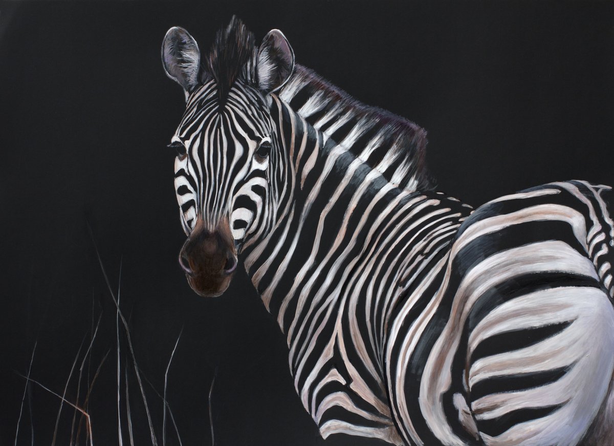 zebra by Galina Khandova