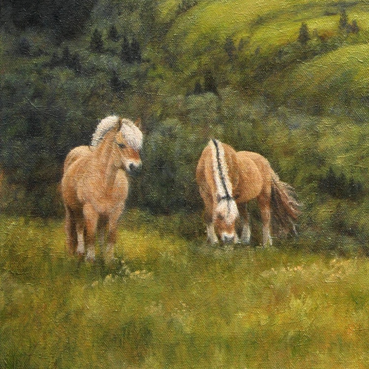 Fjord Horses In Norway By Barbara Hornstra Artfinder
