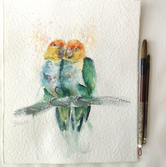 Tenderness (birds)