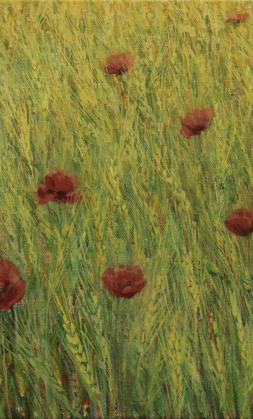 Maki v žitnem polju I – Poppies in the Cereal Field I, 2019, acrylic on canvas, 35 x 50 cm by Alenka Koderman