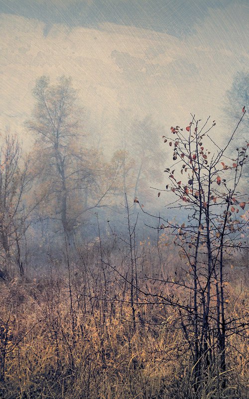 "In the mist of autumn". Scene 3 by Valerix
