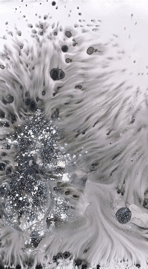 Nature N505 — Abstract Monochrome Wing by Muriel Napoli