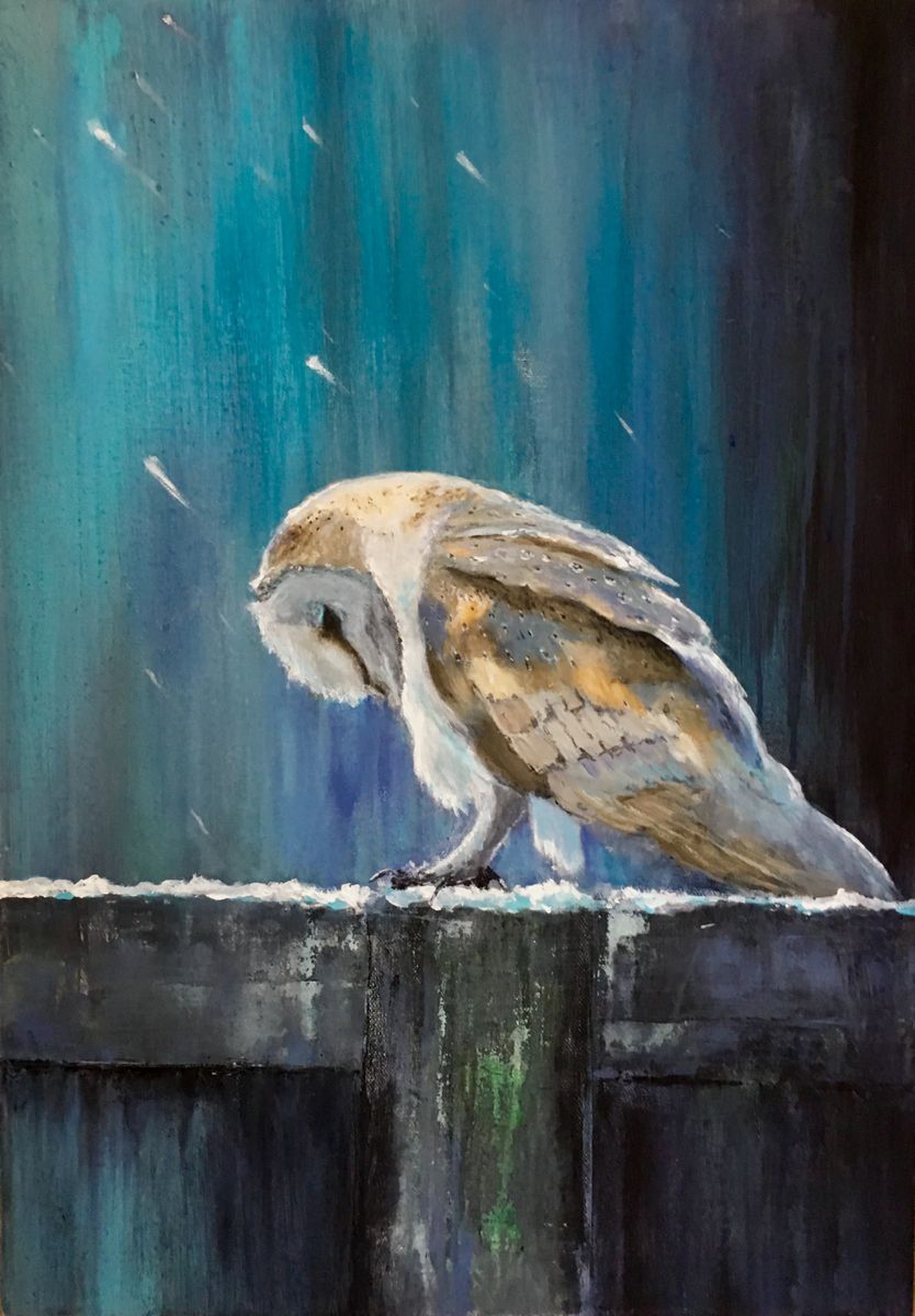 Snowy Barn Owl Acrylic Painting By Paul Hardern Artfinder