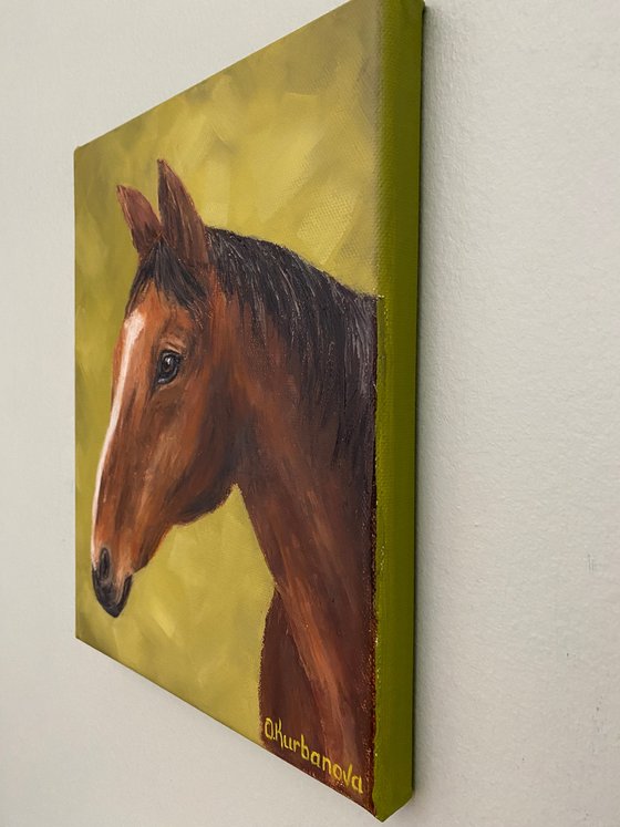 Horse