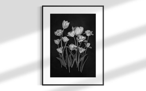 Tulips, Black and white flowers