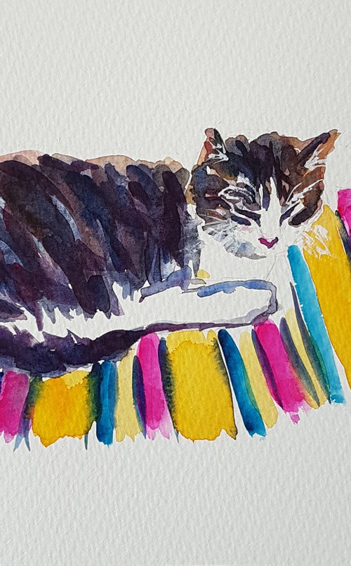 Cat on a coloured mat by Silvia Flores Vitiello
