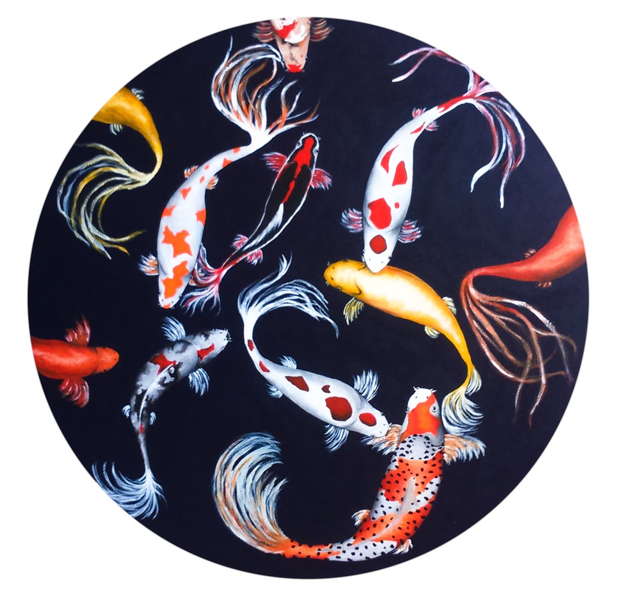 Photorealistic Animal Acrylic Painting By Christina Bilbili, 20 X 20, Koi Fish, Original Artwork