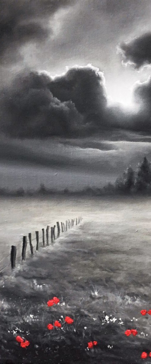Emerging Light Across The Scarlet Meadow by James Brunt