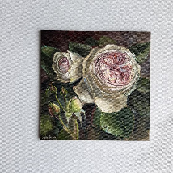 Pink roses still life