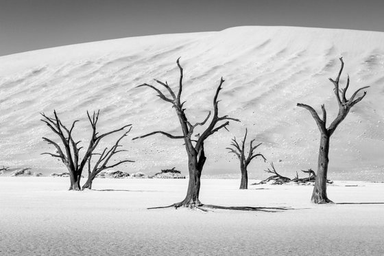 Deadvlei II