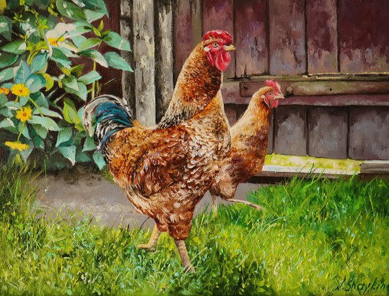 Rooster and chicken, Farmyard Scenery