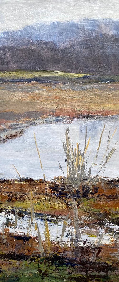 Moody Saltmarsh by Nikki Wheeler