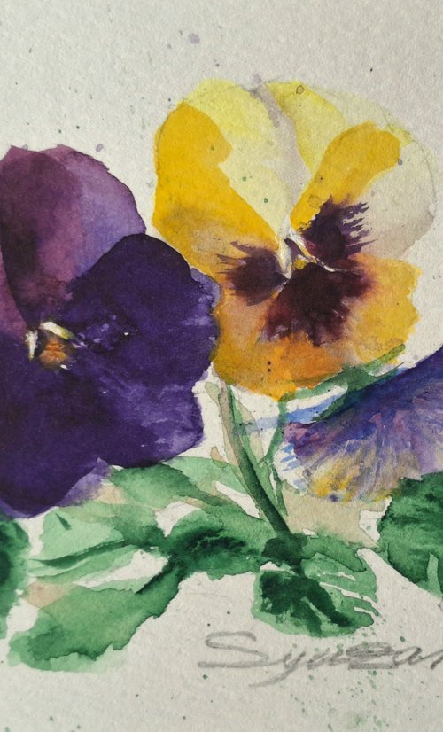 Pancies 01 by Syuzanna Tarverdyan