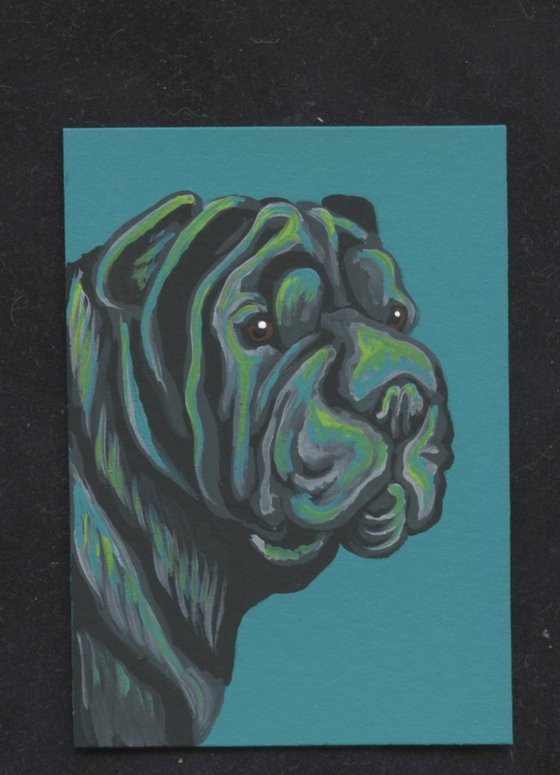 ACEO ATC Original Painting Shar-Pei Pet Wrinkle Dog Art-Carla Smale