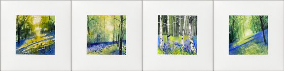 4 bluebell watercolours