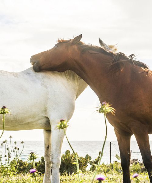 TOGETHERNESS by Andrew Lever