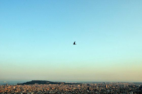 Summer, 2011